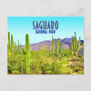 Carte Postale Parc national du Saguaro Arizona Cactus Vintage