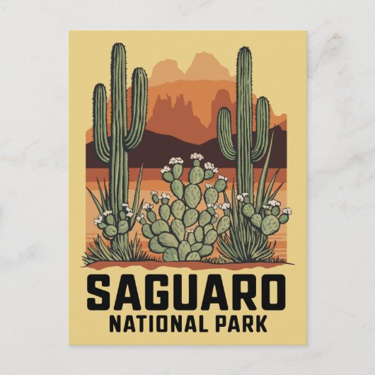Carte Postale Parc national du Saguaro Cactus (Devant)