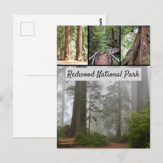 Carte Postale Parc national du séquoia géant (Devant / Derrière)