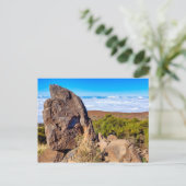 Carte Postale Parc national du Teide (Debout devant)