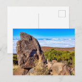 Carte Postale Parc national du Teide (Devant / Derrière)
