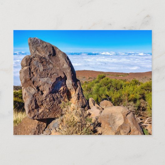 Carte Postale Parc national du Teide (Devant)