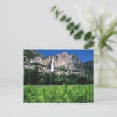 Carte Postale Parc National Du Yosemite, Ca (Debout devant)