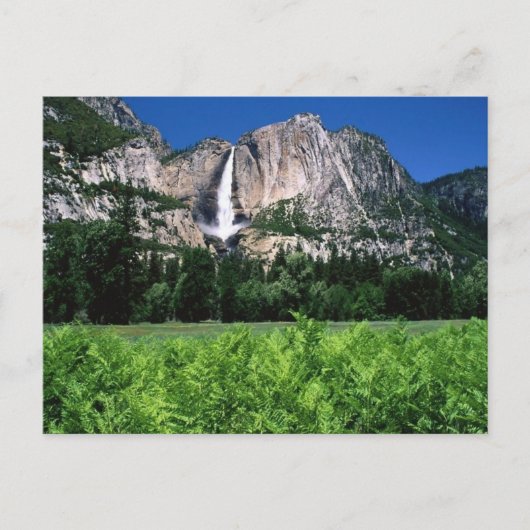 Carte Postale Parc National Du Yosemite, Ca (Devant)