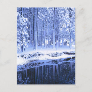 Carte Postale PARC NATIONAL DU YOSEMITE, CALIFORNIE. États-Unis 