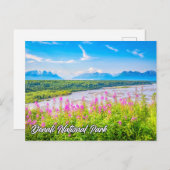 Carte Postale Parc national et réserve de Denali, Alaska (Devant / Derrière)