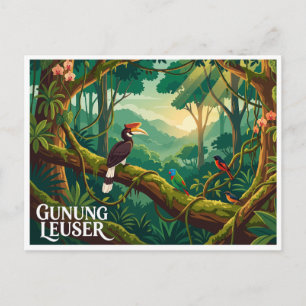 Carte Postale Parc national Gunung Leuser Bukit Lawang Indonésie