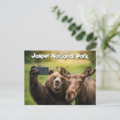 Carte Postale Parc national Jasper Ours Moose Selfie Canada (Debout devant)