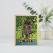 Carte Postale Parc national Jasper Ours Vintage voyage (Debout devant)