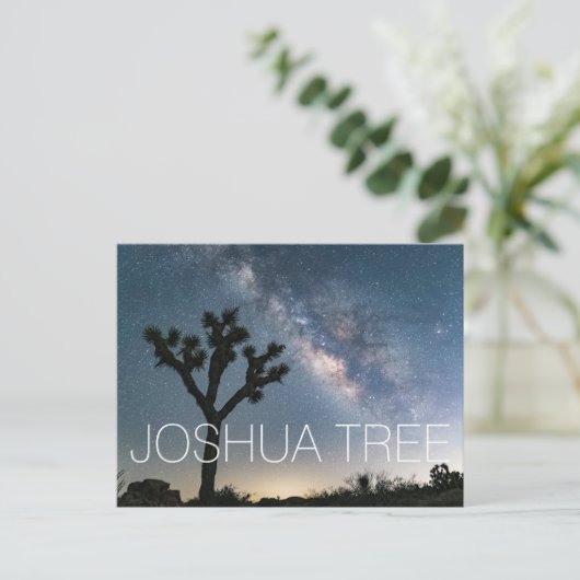 Carte Postale Parc national Joshua Tree Milyway (Debout devant)