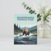 Carte Postale Parc national Katmai Alaska Bear Brooks (Debout devant)