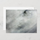 Carte Postale Parc national olympique | Hoh River Valley (Devant / Derrière)