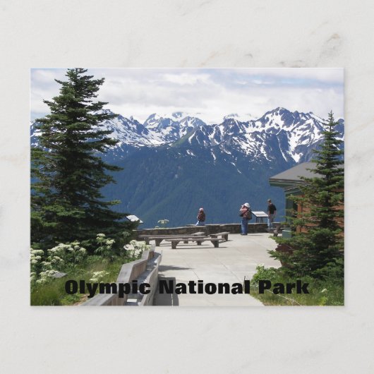 Carte Postale Parc national olympique Hurricane Ridge Voyage Pho (Devant)