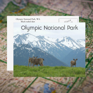 Carte Postale Parc national olympique - photo de voyage