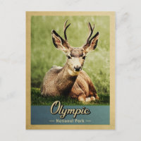 Parc national olympique Vintage Deer
