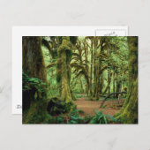 Carte Postale Parc national olympique, WA 2 (Devant / Derrière)