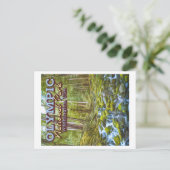 CARTE POSTALE PARC NATIONAL OLYMPIQUE - WASHINGTON ÉTATS-UNIS (Debout devant)