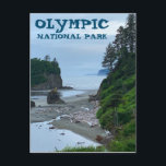Carte Postale Parc national olympique Washington Rocky Beach<br><div class="desc">Bonjour ! J'espère que vous aimez cette photo que j'ai capturée lors de mes voyages. N'hésitez pas à ajouter votre propre texte ! Regardez mon magasin pour plus de détails.</div>