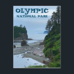 Carte Postale Parc national olympique Washington Rocky Beach<br><div class="desc">Bonjour ! J'espère que vous aimez cette photo que j'ai capturée lors de mes voyages. N'hésitez pas à ajouter votre propre texte ! Regardez mon magasin pour plus de détails.</div>