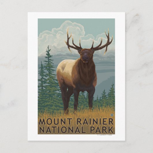 Carte Postale Parc national Rainier, WashingtonElk Scene (Devant)
