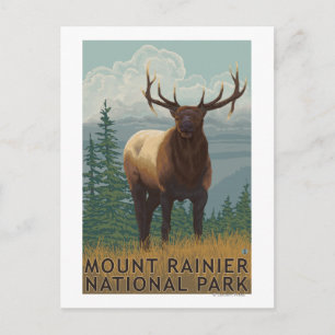 Carte Postale Parc national Rainier, WashingtonElk Scene