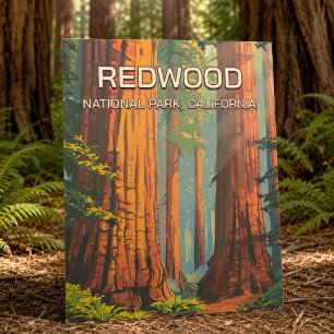 Carte Postale Parc national Redwood Californie Rétro Vintage