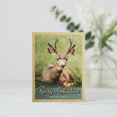 Carte Postale Parc national Rocky Mountain Deer Vintage (Debout devant)
