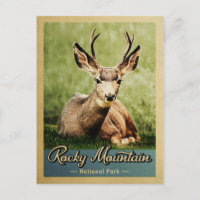 Parc national Rocky Mountain Deer Vintage