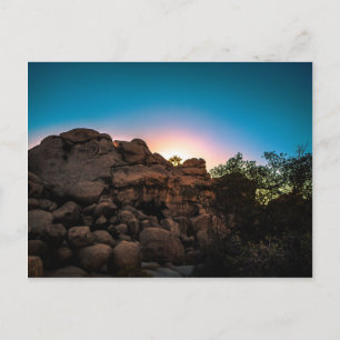 Carte Postale Parc national Sunrise Joshua Tree