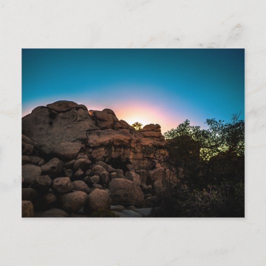 Carte Postale Parc national Sunrise Joshua Tree (Devant)