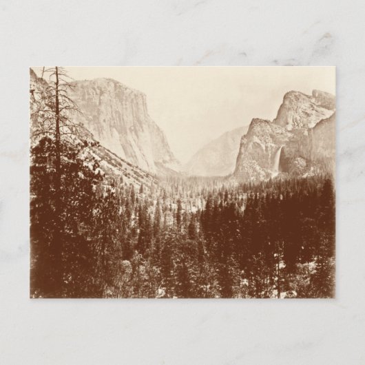 Carte Postale Parc national vintage de Yosemite (Devant)