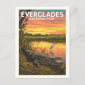 Carte Postale Parc national vintage des Everglades (Devant)