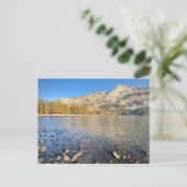 Carte postale - Parc national Yosemite (Debout devant)