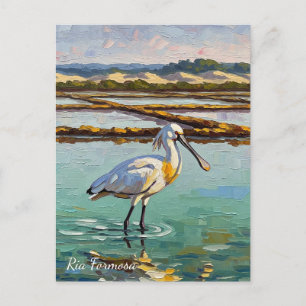 Carte Postale Parc naturel de Ria Formosa Portugal Travel