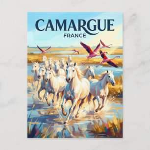 Carte Postale Parc naturel régional de Camargue France