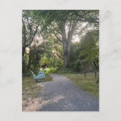 Carte Postale Parc papillon 2 (Devant)