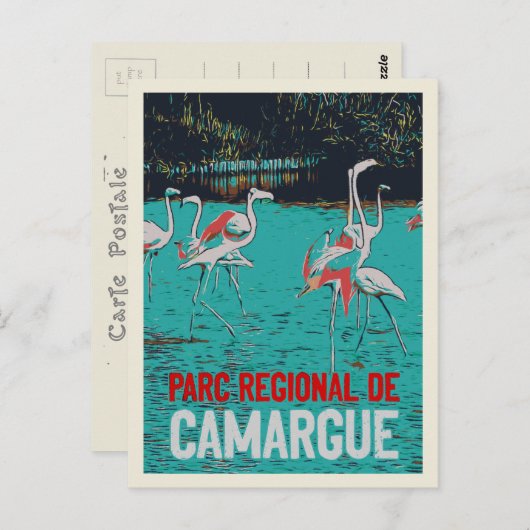 Carte Postale Parc régional de Camargue, France, flamants roses (Devant / Derrière)