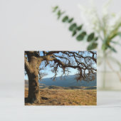 Carte Postale Parc régional de Del Valle, Livermore, CA (Debout devant)