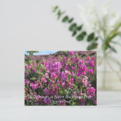 Carte Postale Parc Rock State de Sisters (Debout devant)