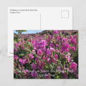 Carte Postale Parc Rock State de Sisters (Devant / Derrière)