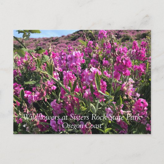 Carte Postale Parc Rock State de Sisters (Devant)