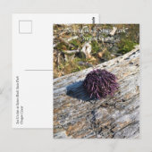 Carte Postale Parc Rock State de Sisters (Devant / Derrière)