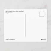 Carte Postale Parc Rock State de Sisters (Dos)