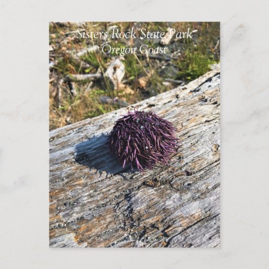 Carte Postale Parc Rock State de Sisters (Devant)