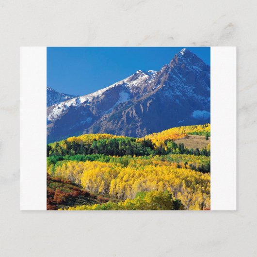 Carte Postale Parc Sneffels Uncompahgre Forest Colorado (Devant)