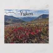 Carte Postale Parc territorial Tombstone Dawson Yukon Canada (Devant)