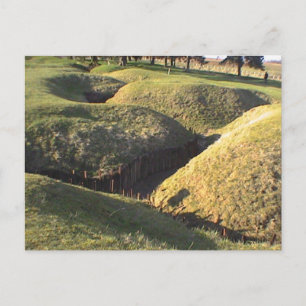 Carte Postale Parc Trenches de Terre-Neuve