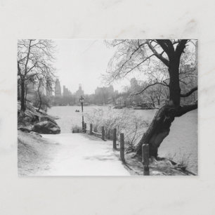 Carte Postale Parc urbain avec lac tranquille