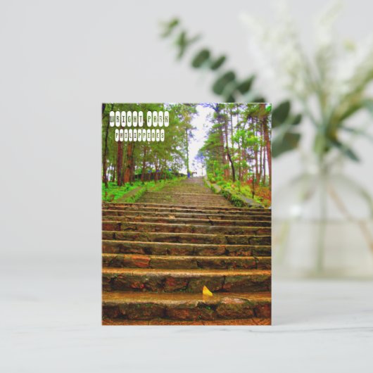 Carte Postale Parc Wright de Baguio (Debout devant)