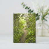 Carte Postale Parcours à travers la forêt (Debout devant)